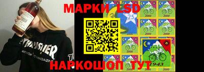кокс Гатчина