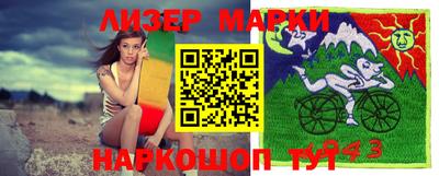 кокс Гатчина