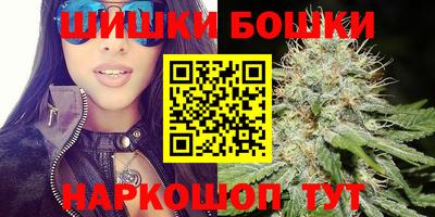 кокс Гатчина