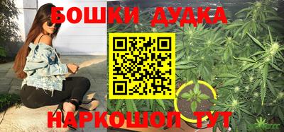кокс Гатчина