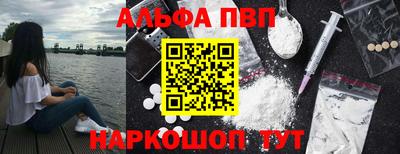 кокс Гатчина