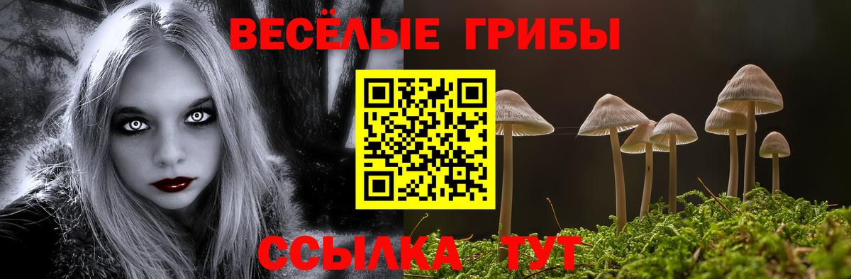 Псилоцибиновые грибы мицелий  Вход с VPN  цены наркотик  Мытищи 