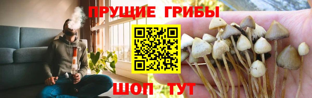 Галлюциногенные грибы мицелий Мытищи